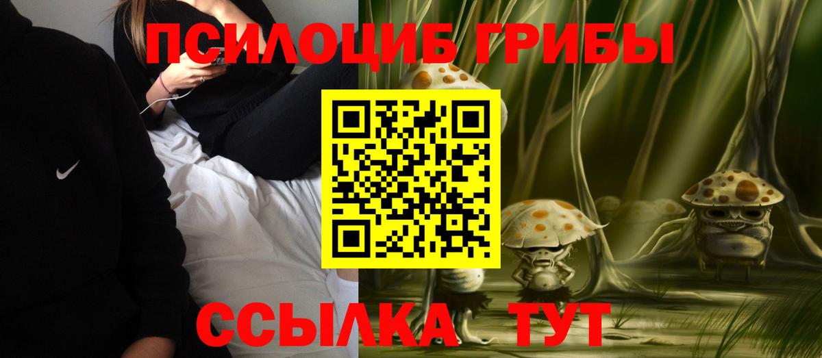 Галлюциногенные грибы мицелий  Вход с VPN  Гурьевск 